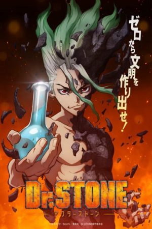 Dr Stone