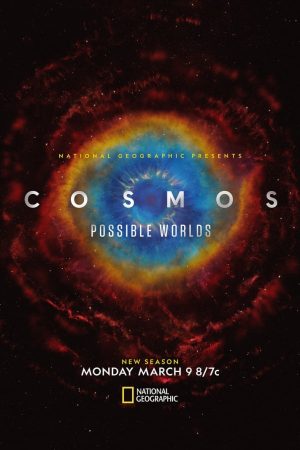 Cosmos Possible Worlds