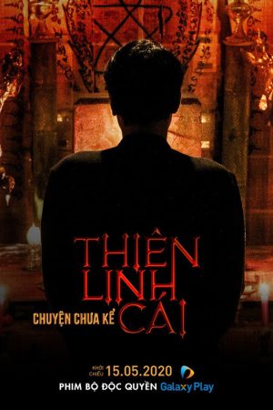 Thiên Linh Cái Chuyện Chưa Kể