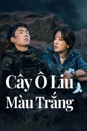 Cây Ô Liu Màu Trắng HD - Vietsub + Thuyết Minh